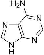 adenine_structure