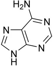adenine_structure