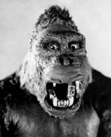 kong_rmodelcu