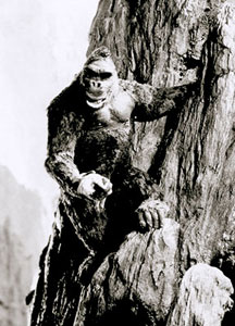 kong-mountain